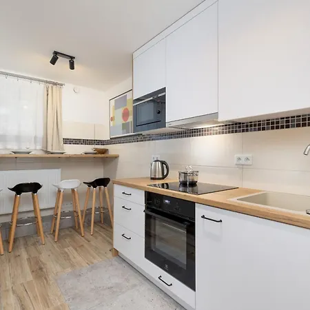 Moniuszki In Cracow By Renters *