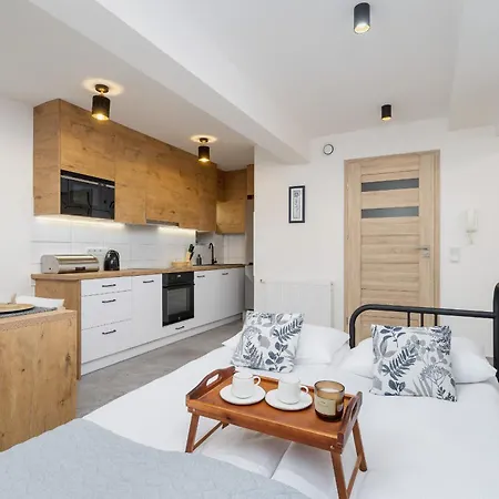 Moniuszki In Cracow By Renters *